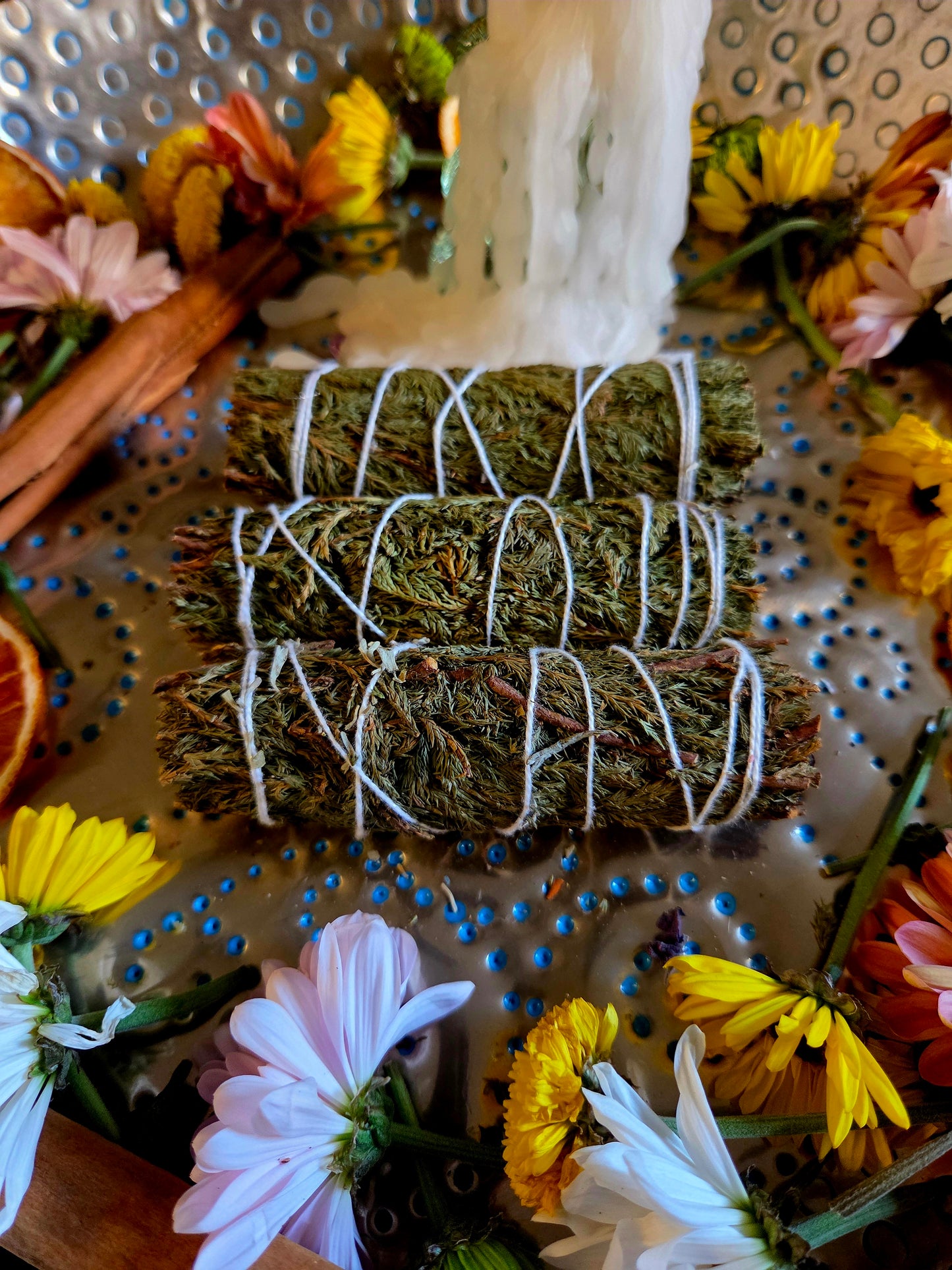 🌲✨ Cedar Bundles – Ancient Protection & Purification ✨🌲