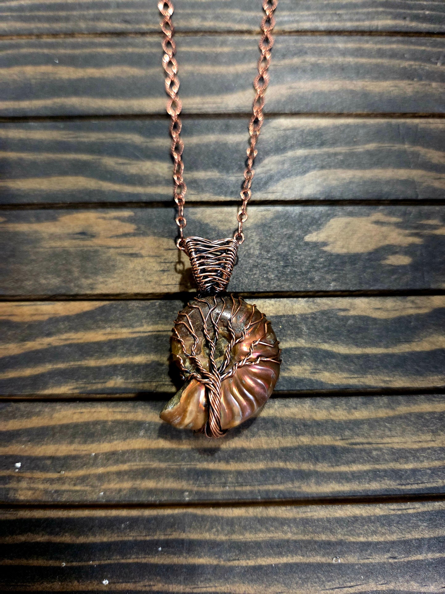 🐚Ammonite Fossil Tree of Life Pendant🐚